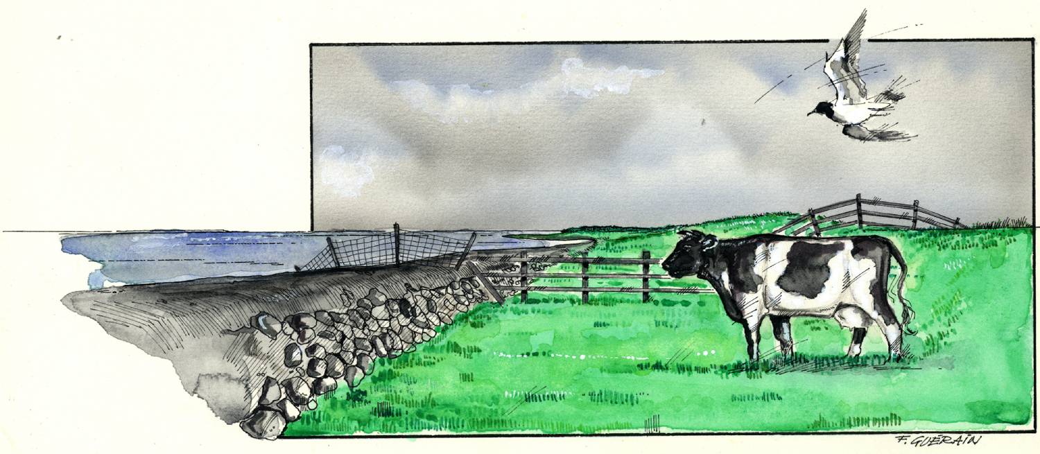 tekening van Felix Guerain