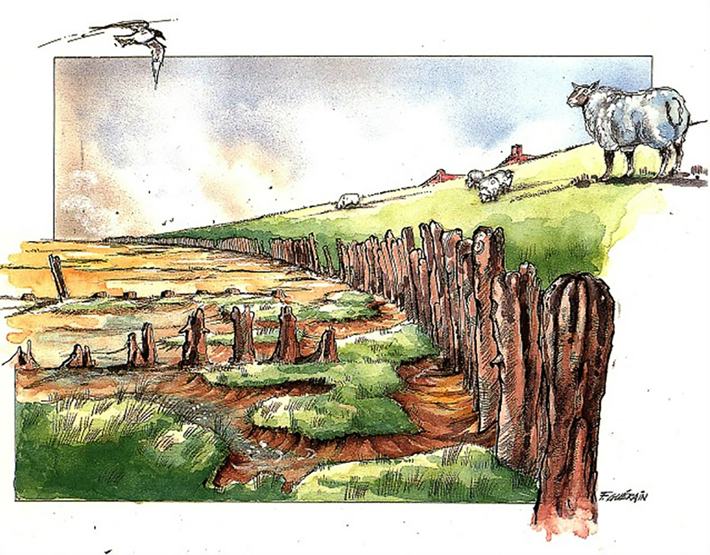 tekening van Felix Guerain
