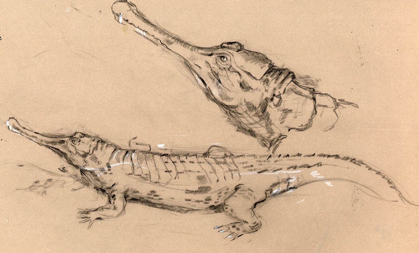 tekening van Felix Guerain