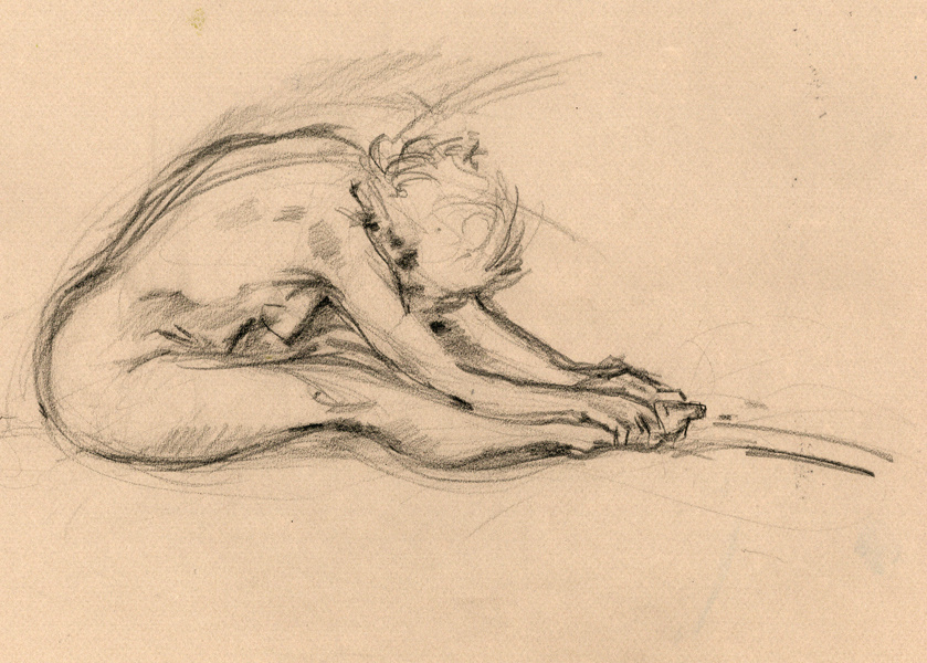 tekening van Felix Guerain